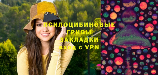 мяу мяу мука Гусев
