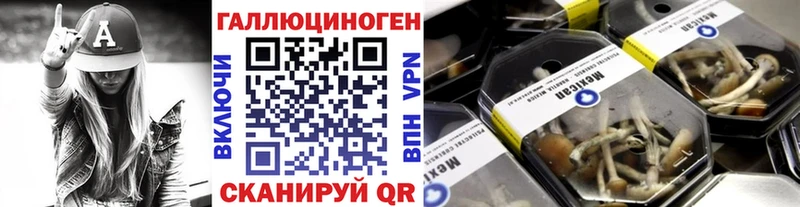 как найти наркотики  кракен ONION  Галлюциногенные грибы Psilocybine cubensis  Ангарск 